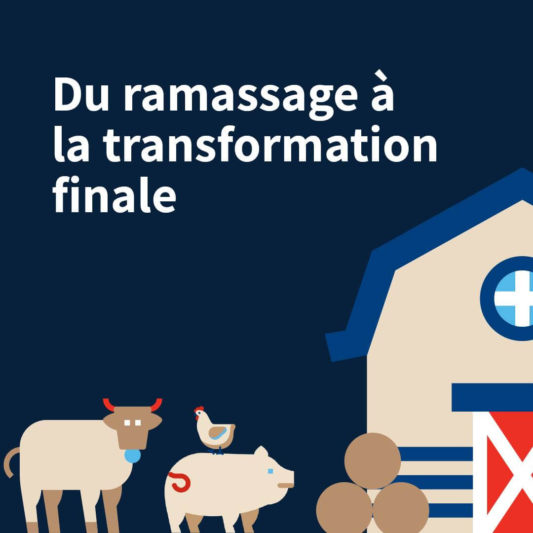 Curieux de découvrir le parcours des matières premières récupérées chez Sanimax? Voici comment!